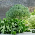 Crocolini