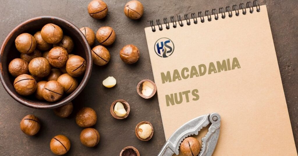Macadamia Nuts