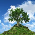 Health threetrees com vn