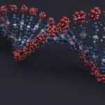 Nucleotides