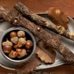 Sarsaparilla Root