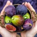 Byadi Fig
